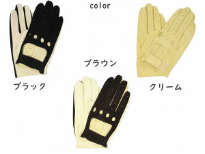 { Y  v {v Ԃ  hCrOO[u v[g ֗ v  Mtg 蕨 LO U[ O[u Y oCN v  hCu  