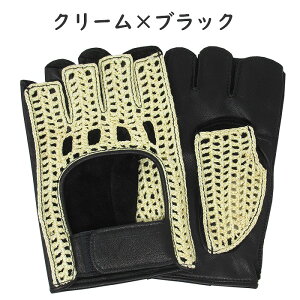 yIWil[thCrOO[uzS hCrOO[u { Y  v {v Ԃ ܃v[g v  Mtg 蕨 LO U[ O[u 