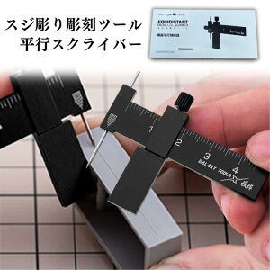 �X�W�{���p ���s�X�N���C�o�[ �P�K�L�j �������� �f�B�e�[���A�b�v �v�����f�� �͌^ �t�B�M���A (�u���b�N)