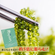 海ぶどう 20g 2～10食 水でもどす 5倍に膨らむ 大容量 タレなし お得 お土産 プチプチ つまみ 賞味期限が…