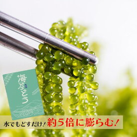 海ぶどう 20g 2～10食 水でもどす 5倍に膨らむ 大容量 タレなし お得 お土産 プチプチ つまみ 賞味期限が長い 新鮮 常温保存可 うみぶどう 海葡萄 取り寄せ 常温保存食品 日持ちする手土産 常温つまみ 常温で食べ れる もの 食品 常温で日持ち する おかず お取り寄せグルメ