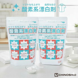 地の塩社 酸素系漂白剤 過炭酸ナトリウム 500g 2個セット