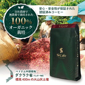 Si Cfe VIGOR レギュラーコーヒー粉 インスタントコーヒー 珈琲 オーガニック 送料無料 中浅深煎り 140g ロブスタ種 ベトナム産100％