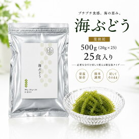海葡萄屋 海ぶどう 500g (20g×25) 個包装 業務用 お得パック 販売 塩水漬け 水でもどす 海 ぶどう 取り寄せ ベトナム産 無添加 常温保存 賞味期限が長い 海ブドウ 大粒 ベトナム 海藻 クビレズタ 美味しい 低カロリー 食品 マグネシウム カルシウム 鉄分 食物繊維
