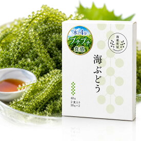 海葡萄屋 海ぶどう 個包装 販売 塩水漬け 水でもどす 海 ぶどう 取り寄せ ベトナム産 無添加 常温保存 賞味期限が長い 海ブドウ 大粒 ベトナム 食材 プチプチ 海藻 サラダ 海鮮丼 トッピング 美味しい 低カロリー 食品 マグネシウム カルシウム 鉄分 食物繊維 クビレズタ