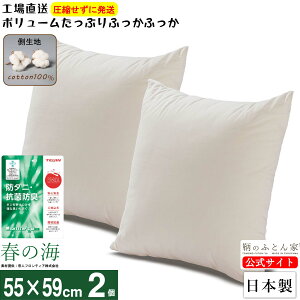 クッション 中身 【春の海 抗菌 防臭 防ダニ】 55×59cm 2個 セット 日本製 洗える 生地 綿 100% テイジン ポリエステル綿 カバー 用 腰痛対策 椅子 ヌード 背もたれ ソファー ハンドメイド ボリ