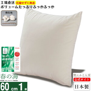 NbV g yt̊C R hL h_jz 60cm { 􂦂 n  100 eCW |GXe Jo[ p ɑ΍ ֎q k[h w \t@[ nhCh {[ 