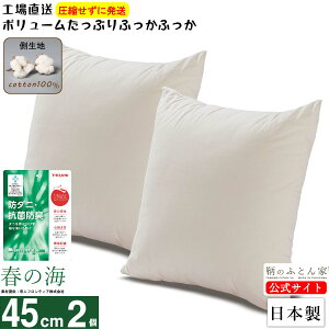 クッション 中身 【春の海 抗菌 防臭 防ダニ】 45×45 cm 2個 セット 日本製 洗える 生地 綿 100% テイジン ポリエステル綿 カバー 用 腰痛対策 椅子 ヌード 背もたれ ソファー ハンドメイド ボリ