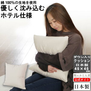 NbV g 45 × 45 cm H  w 1  { ֎q  zc ɂgp ԗp  ΍ CeA ɍœK NbVJo[ Jo[ p \t@pNbV k[hN