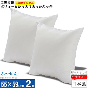 NbV g yӁ[z 2 55×59cm { 􂦂 eCW |GXe Jo[ p ɑ΍ ֎q k[h w \t@[ nhCh {[ Ղ  ₷ 