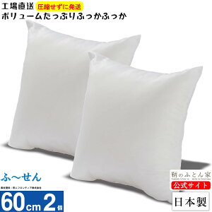 クッション 中身 【ふーせん】 2個 60cm 日本製 洗える テイジン ポリエステル綿 カバー 用 腰痛対策 椅子 ヌード 背もたれ ソファー ハンドメイド ボリューム たっぷり 交換 入れやすい 圧縮