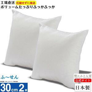 NbV g yӁ[z 2 30cm { 􂦂 eCW |GXe Jo[ p ɑ΍ ֎q k[h w \t@[ nhCh {[ Ղ  ₷ k