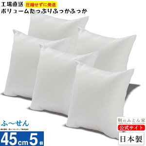 NbV g yӁ[z 5 45cm { 􂦂 eCW |GXe Jo[ p ɑ΍ ֎q k[h w \t@[ nhCh {[ Ղ  ₷ k