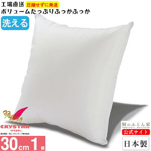 NbV g yH^b` H  z 30cm { { 􂦂 eCW NX^[ |GXe l NX^[ gp Jo[ p ɑ΍ ֎q k[h w \t@[ n