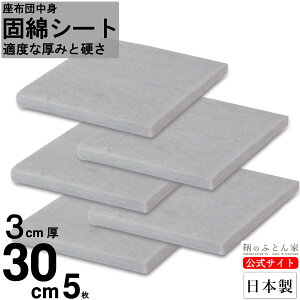���z�c �ŖȃV�[�g ����3cm 30cm�p ���{�� 5�� ���� ���w�p ���z�c���g ���g�̌����Ɏg�p ��| �q�� �L�b�Y �k�[�h�N�b�V���� �y�ۂ̂ӂƂ�Ɓz