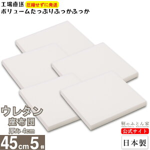 zc E^ g 45cm  4cm 5 {  p ֎q p J[V[g p Ɩp ɍœK k[h NbV g ԂƂ   ΍ w ^ nhCh Jo[ p y