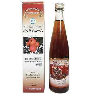 oCIV[h@W[X ʏ`100(ZkҌ) 500ml