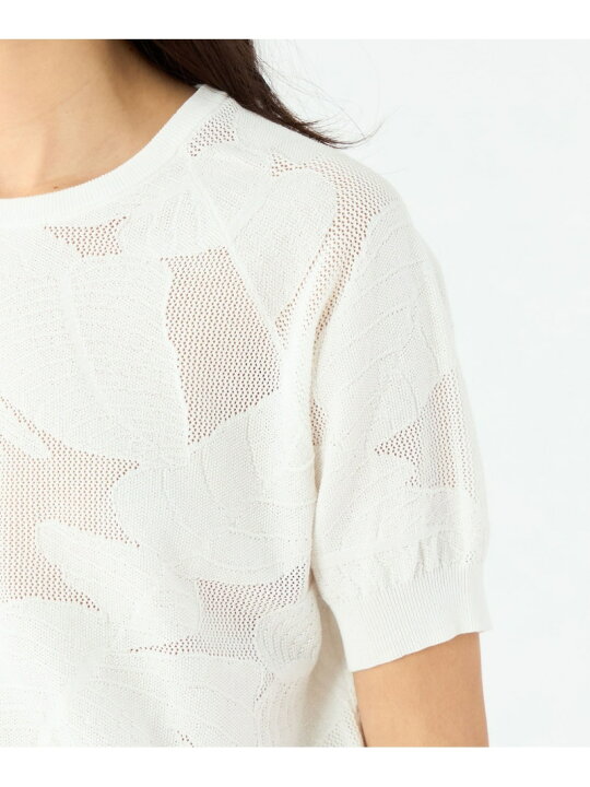 楽天市場】ボタニカルメッシュ ハーフスリーブプルオーバー MACPHEE