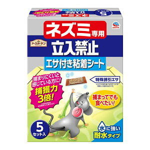 A[XK[f lY~p֎~ GTtSV[g 5Zbg lY~ 쏜 ߊl U ގ ΍ ϐ