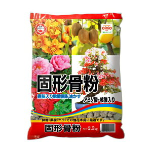 K[fCg Ō` 2.5kg  yŌ` A~m_ j_ 엿  ǔ