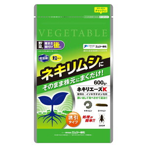 E ẙQ ގ ΍ 쏜  lLV GV[Ή lLG[XK 600g