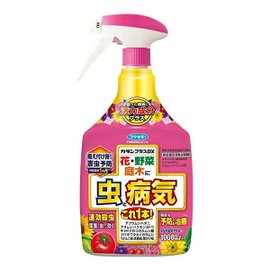 t}L[ J_vXDX 1000ml EEۍ 1 ͐     쏜 ΍ E aC \h