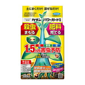 t}L[ J_ p[K[h 500g E 1.5 엿   