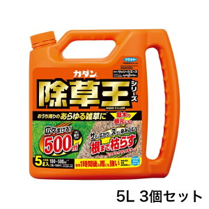 t}L[  J_  Ub\[WG[X 5L 3Zbg  ̂܂܎g ő500 ܂Ō͂炷