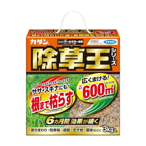 t}L[  J_  I[L[  3kg 6 ő600 ܂Ō͂炷