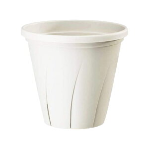 avX`bN ͂蔫 7 [^ zCg a21cm eʖ3L Xbg\ {  v^[ Aؔ vX`bN