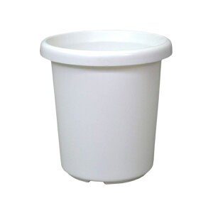 �A�b�v���E�F�A�[ ���� F�^ 7�� �z���C�g �[�^ ���a��21.5cm �e�ʖ�4.3L ���{�� �� �v�����^�[ �A�ؔ� �v���X�`�b�N