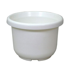 AbvEFA[ ֔ F^ 10 zCg ^ a31cm eʖ8.7L {  v^[ Aؔ vX`bN