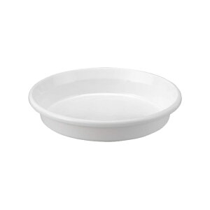 AbvEFA[ M F^ 7 zCg a21cm { vX`bN 󂯎M