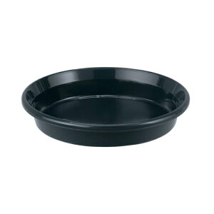 AbvEFA[ M F^ 8 ubN a24cm { vX`bN 󂯎M