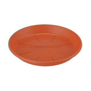 AbvEFA[ M AP 7 eRb^ a21cm { M vX`bN 󂯎M uE