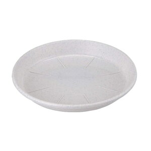 AbvEFA[ M AP 8 ~JQ a24cm { M vX`bN 󂯎M zCg