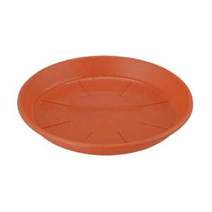 AbvEFA[ M AP 8 eRb^ a24cm { M vX`bN 󂯎M uE