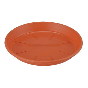 AbvEFA[ M AP 9 eRb^ a27cm { M vX`bN 󂯎M uE