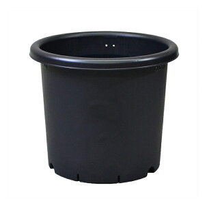 AbvEFA[ e 10 ubN a33.2cm eʖ14L { e   v^[ Aؔ vX`bN