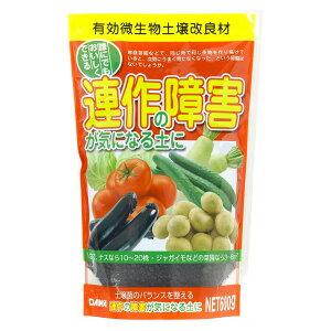 a ȀQCɂȂy 600g yǍ