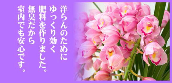 楽天市場 大和 無臭洋らんの肥料 600g 洋ラン 肥料 無臭 粒状 Tomorrow Life 楽天市場店
