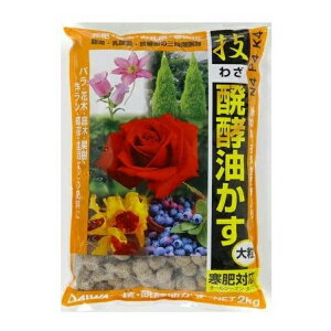 a ZEy 嗱 2kg }OlVE 엿  ǔ   