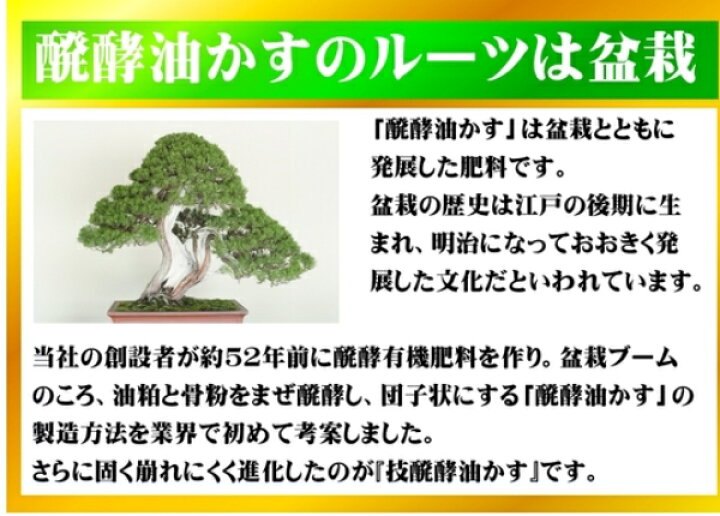 楽天市場 大和 技 醗酵油かす 小粒 5kg マグネシウム入り 肥料 元肥 追肥 お礼肥 寒肥 油粕 Tomorrow Life 楽天市場店