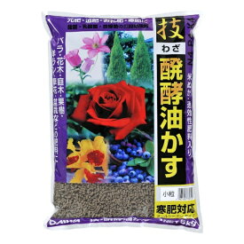 楽天市場 お礼肥の通販