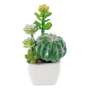 T{e  A L R h CTG} LV} A[eBtBVO[ KH-60984