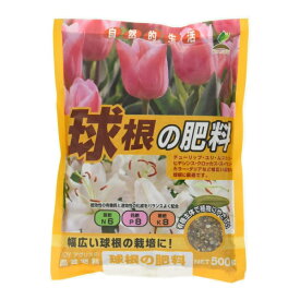 楽天市場 ダリア 球根の通販