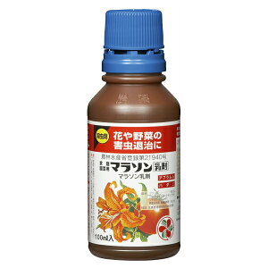 ZFw| }\ 100ml ƒ뉀|p E t