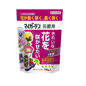 ZFw| }CK[fp 700g   Ɍ  엿 