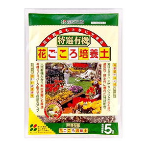 Ԃ IL@Ԃ|{y 5L |{y  y   | K[fjO