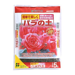 Ԃ o̓y 5L |{y o  y py KN Ɍ엿z